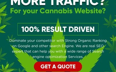 SEO for Cannabis in Canada | Get Found on Google!